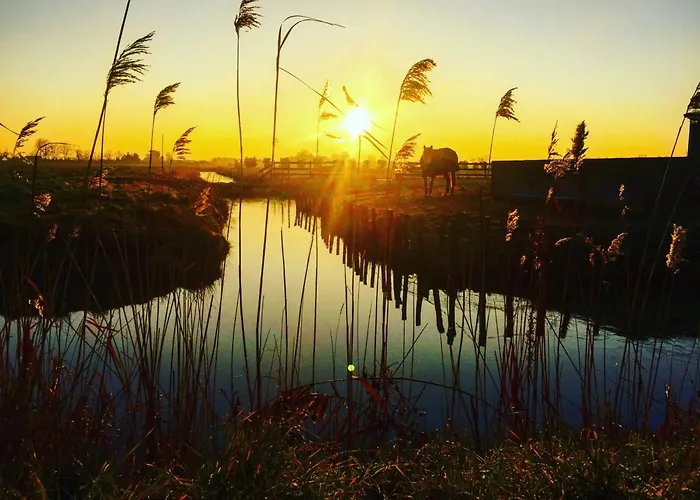 3 Etoiles A Jean De Monts, 5 Pers, Parking, Face - Fr-1-323-413 아파트 생장드몽